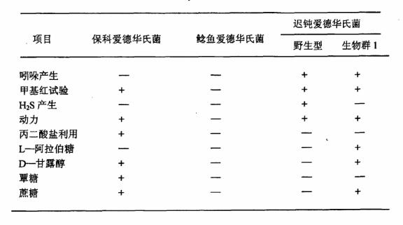 一种迟钝爱德华氏菌亚单位疫苗及其制备方法和应用