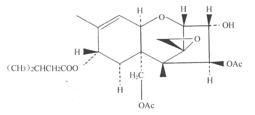 一种镰刀菌单端孢霉烯族B类毒素的分子鉴定方法