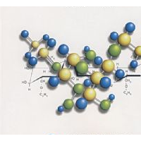 药用高分子材料