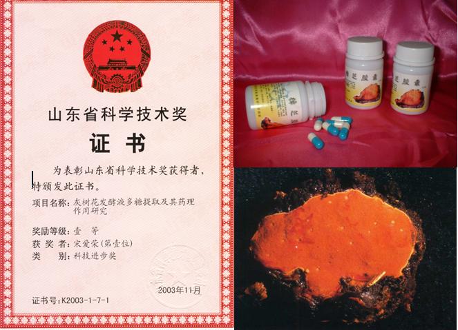 应用真菌活性提取技术及产品开发
